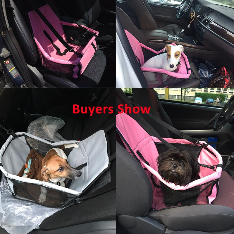 Dog Car Seat
