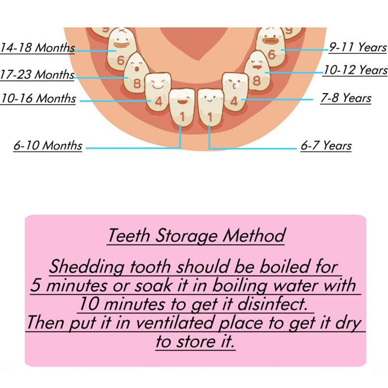 Baby Tooth Box
